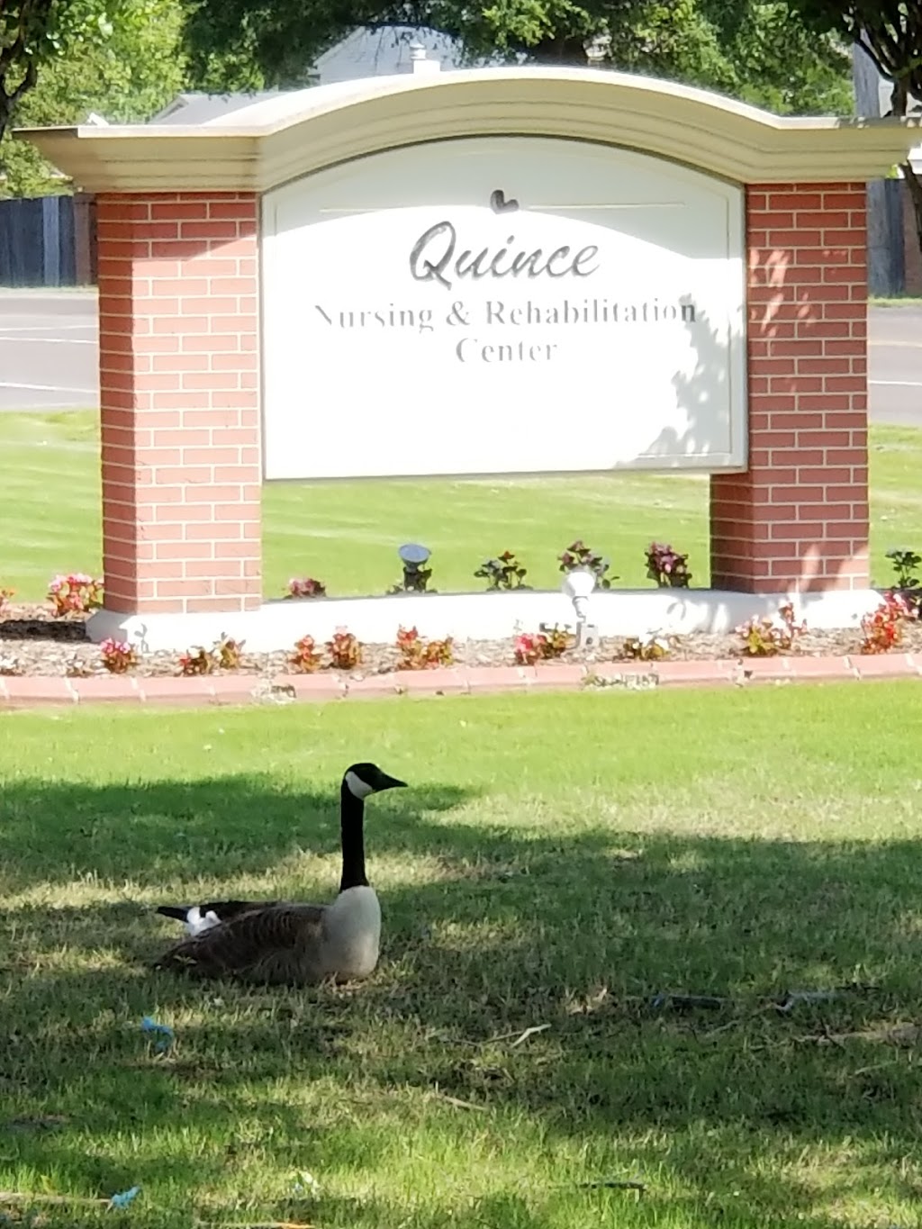 Quince Nursing and Rehabilitation | 6733 Quince Rd, Memphis, TN 38119, USA | Phone: (901) 755-3860