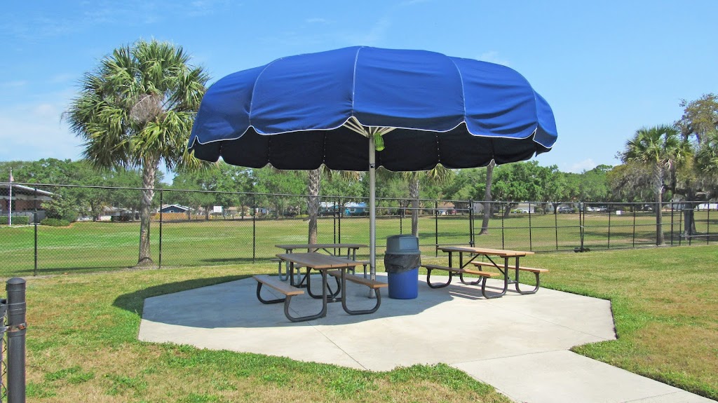 Highlander Park & Aquatic Complex | 1937 Ed Eckert Dr, Dunedin, FL 34698, USA | Phone: (727) 298-3266