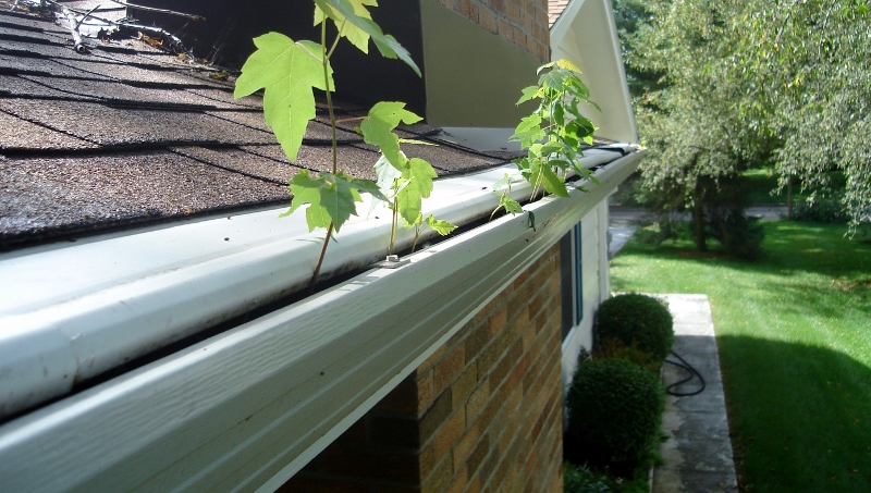 Renewal Gutters, LLC | 838 Artisan Pkwy, La Grange, KY 40031, USA | Phone: (502) 612-1475