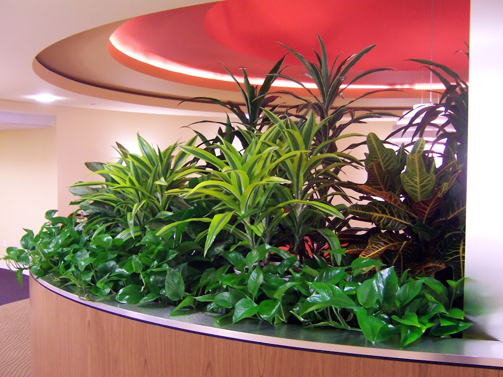 Plantopia Inc - Indoor Plant Maintenance - Affordable Design & Installation | 1611 Cirque Ct, Encinitas, CA 92024, USA | Phone: (800) 690-7875