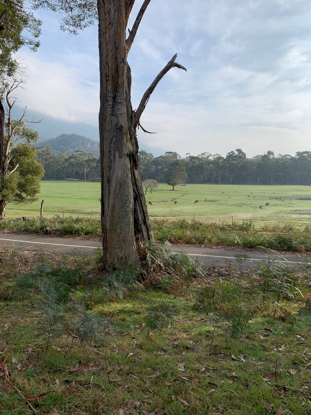 Adrian The Plumber Beverly Hills | 915 N Crescent Dr Suite D, Beverly Hills, CA 90210, USA | Phone: (310) 438-4266