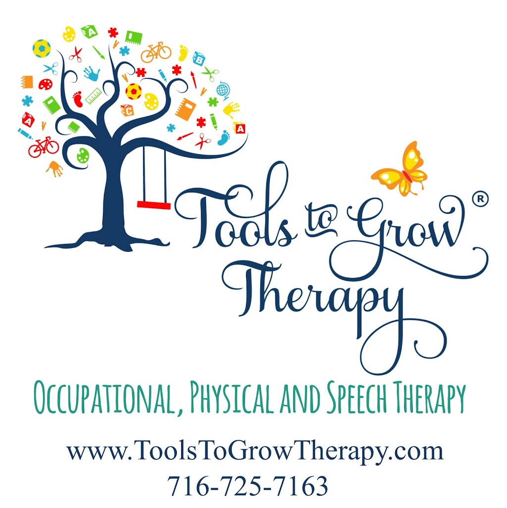 Tools to Grow Occupational, Physical and Speech Therapy | 4535 Southwestern Blvd # 808, Hamburg, NY 14075 | Phone: (716) 725-7163