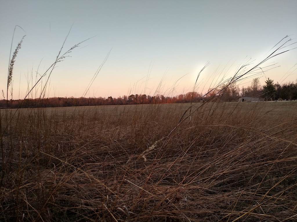 American Indian Village at Patuxent River Park | 16298 Croom Airport Rd, Upper Marlboro, MD 20772, USA | Phone: (301) 627-6074