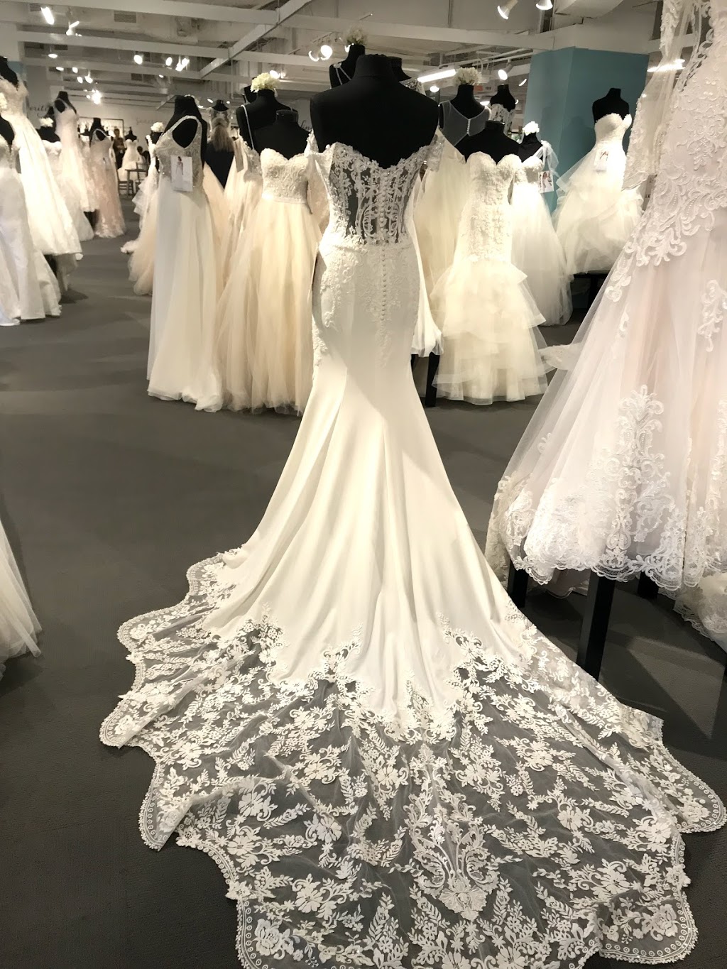 Angeliques Bridal | 12341 Aberdeen St NE, Blaine, MN 55449, USA | Phone: (763) 757-6310