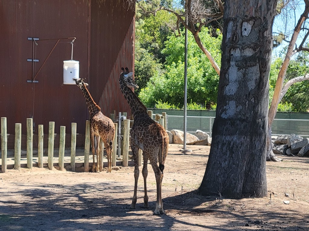 Fresno Chaffee Zoo | 894 W Belmont Ave, Fresno, CA 93728, USA | Phone: (559) 498-5910