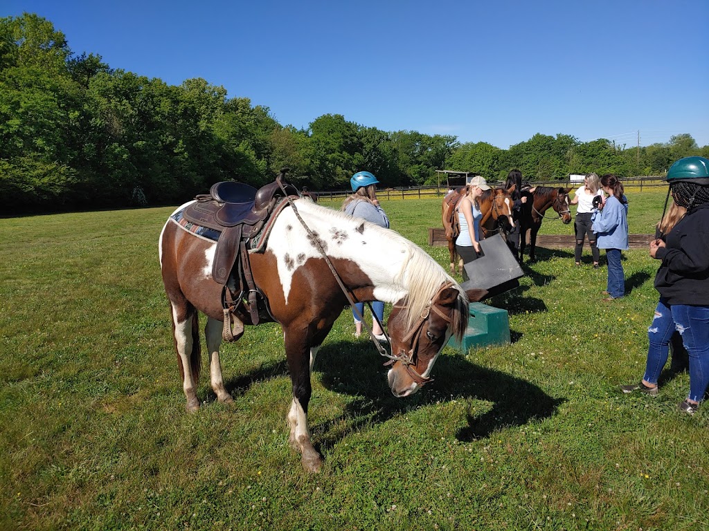 Creekside Riding Academy & Stables | 2359 Lewisburg Pike, Franklin, TN 37064, USA | Phone: (615) 595-7547