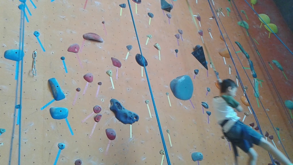 Planet Rock Climbing Gym | 1103 W 13 Mile Rd, Madison Heights, MI 48071, USA | Phone: (248) 397-8354