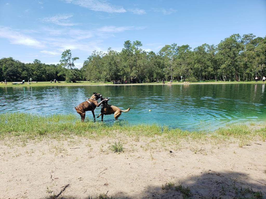 Dog Wood Park of Jacksonville | 7407 Salisbury Rd, Jacksonville, FL 32256, USA | Phone: (904) 296-3636