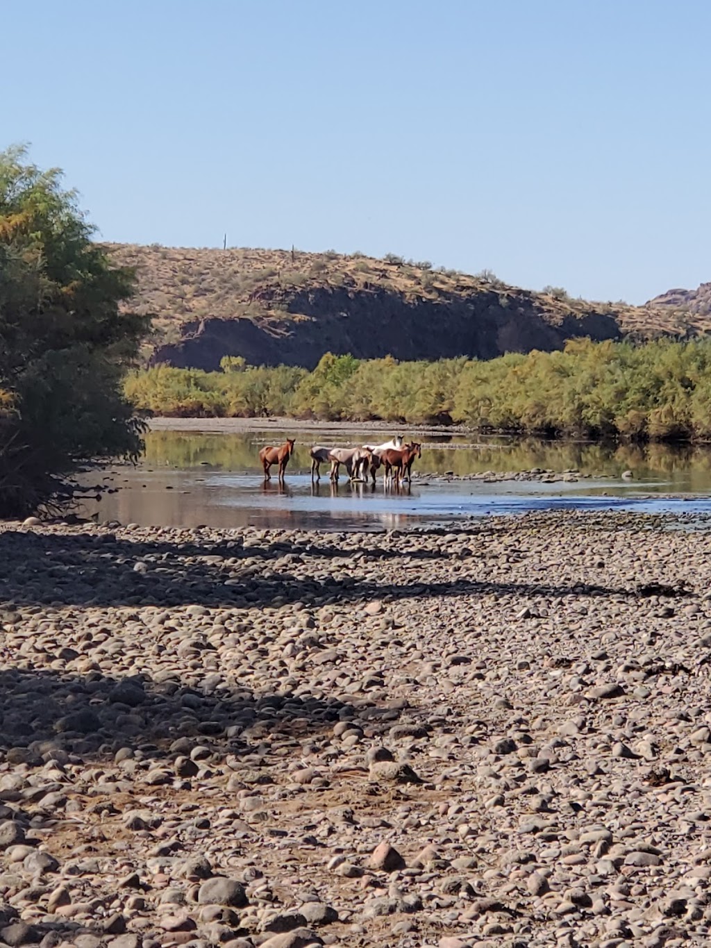 AzTrailRiding.com | 731 N 102nd Pl, Mesa, AZ 85207, USA | Phone: (602) 312-6713