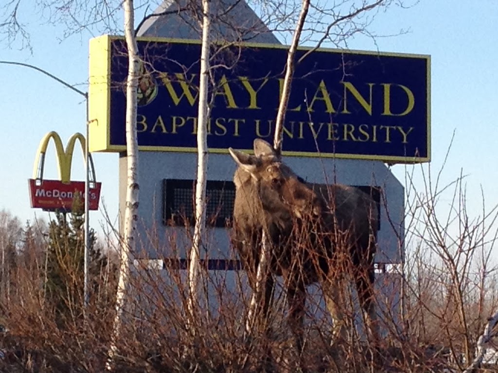 Wayland Baptist University-Anchorage | 7801 E 32nd Ave, Anchorage, AK 99504, USA | Phone: (907) 333-2277