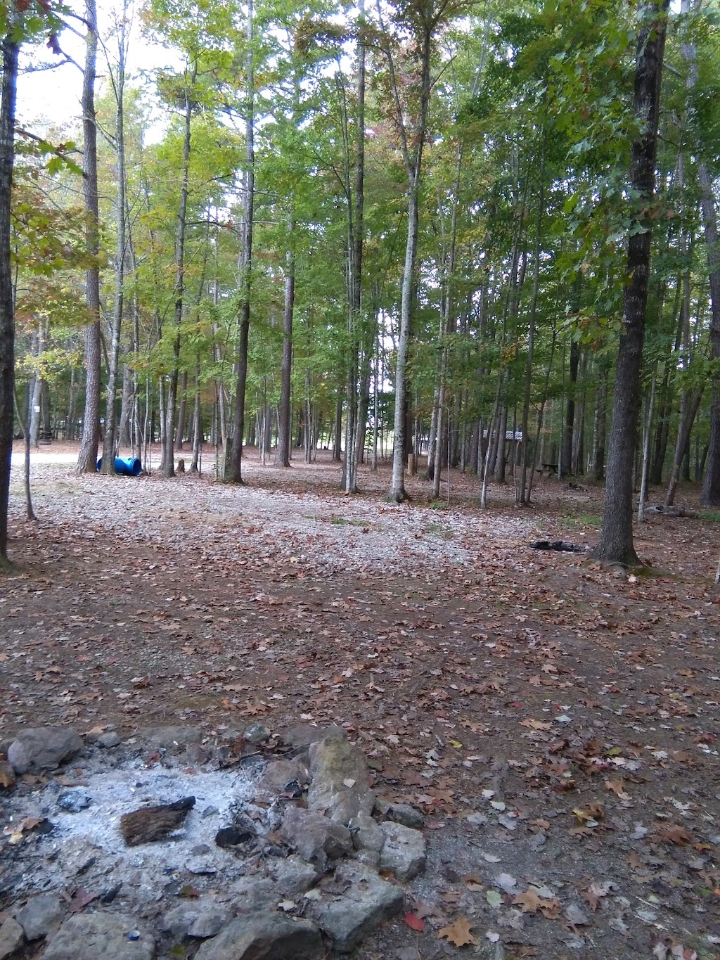 Red Hill Horse Camp | 4604 Red Hill Rd, Mt Vernon, KY 40456, USA | Phone: (606) 308-5900