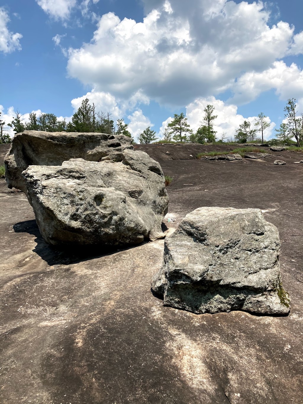 Davidson-Arabia Mountain Nature Preserve | 3787 Klondike Rd, Stonecrest, GA 30038, USA | Phone: (770) 492-5220