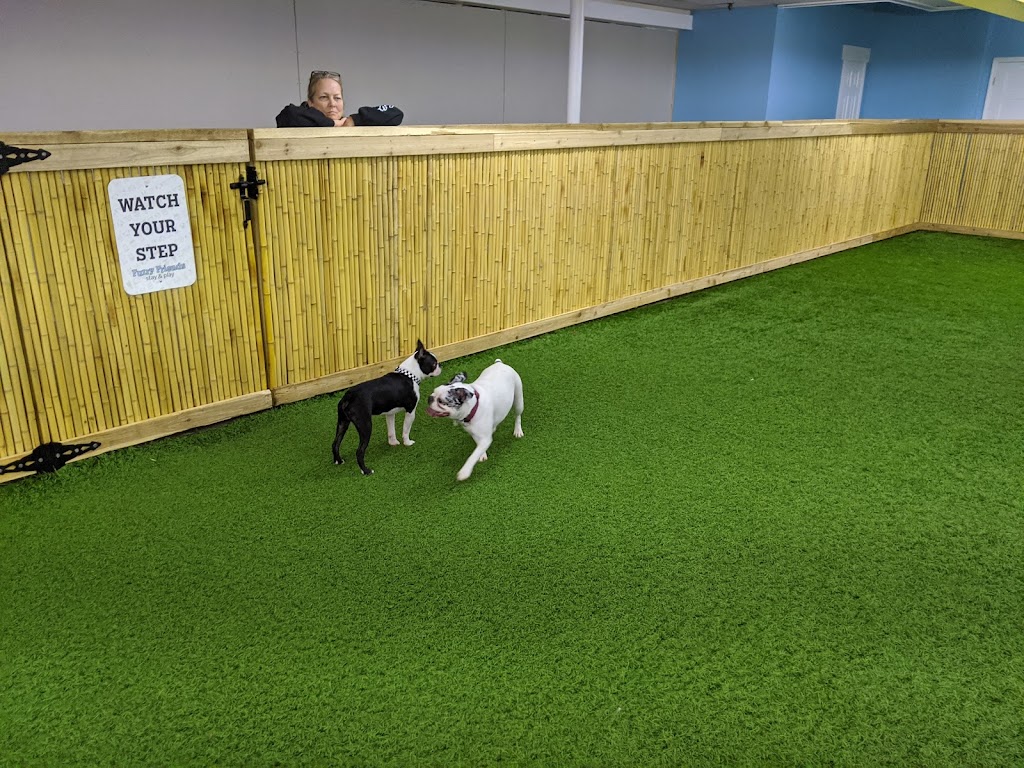 Furry Friends Stay and Play in 390 N Monroe St, Mooresville, IN 46158, USA