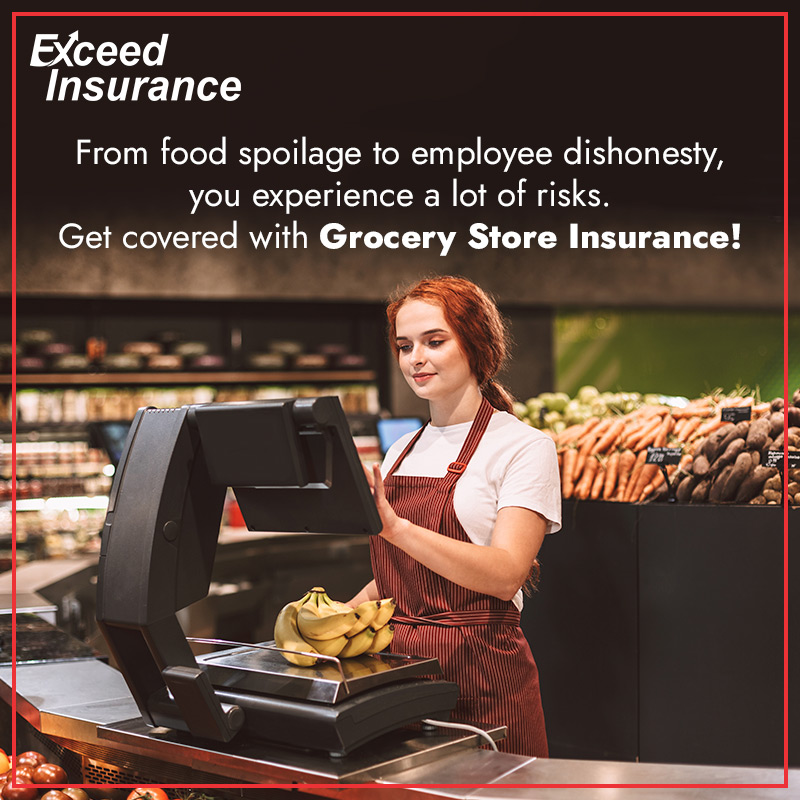 Exceed Insurance | 4142 E Commerce Way, Sacramento, CA 95834, USA | Phone: (855) 539-2333