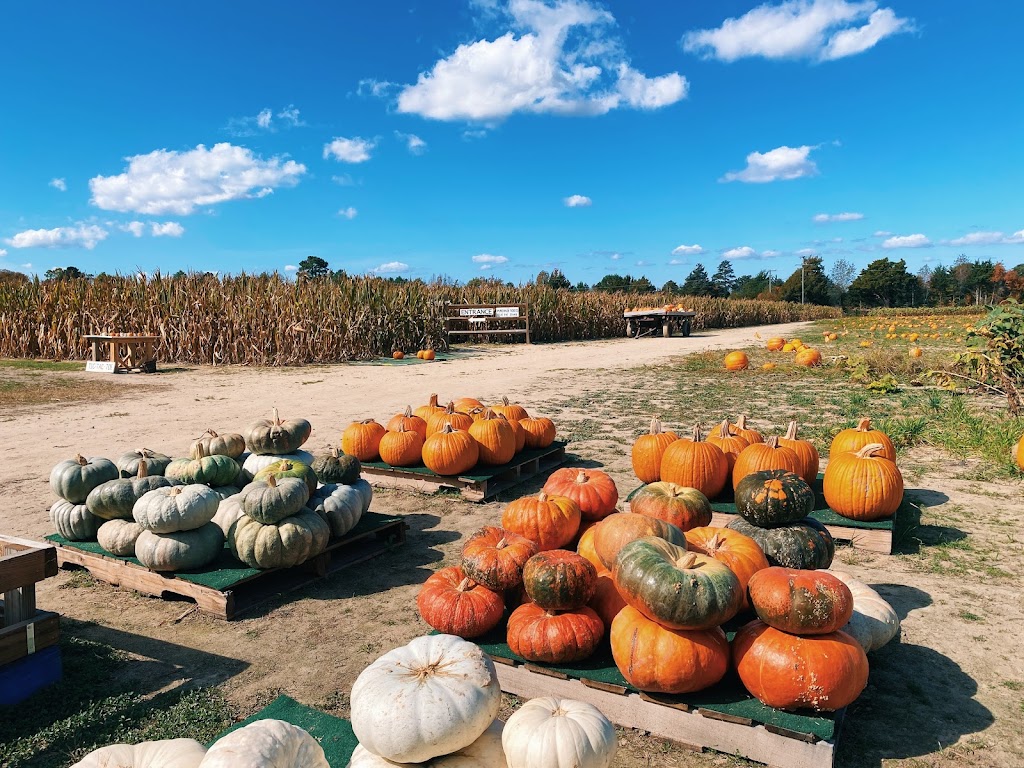 Goose Hill Farm | 22090 Bethel Rd, Franklin, VA 23851, USA | Phone: (757) 569-8453