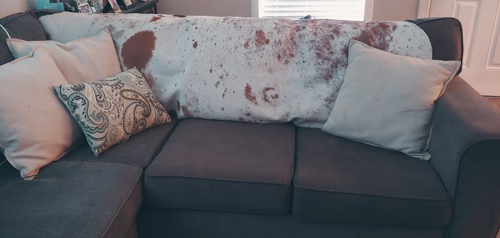 The Florida Native • Antiques & More | 15 S Market Blvd, Webster, FL 33597, USA | Phone: (352) 569-4277