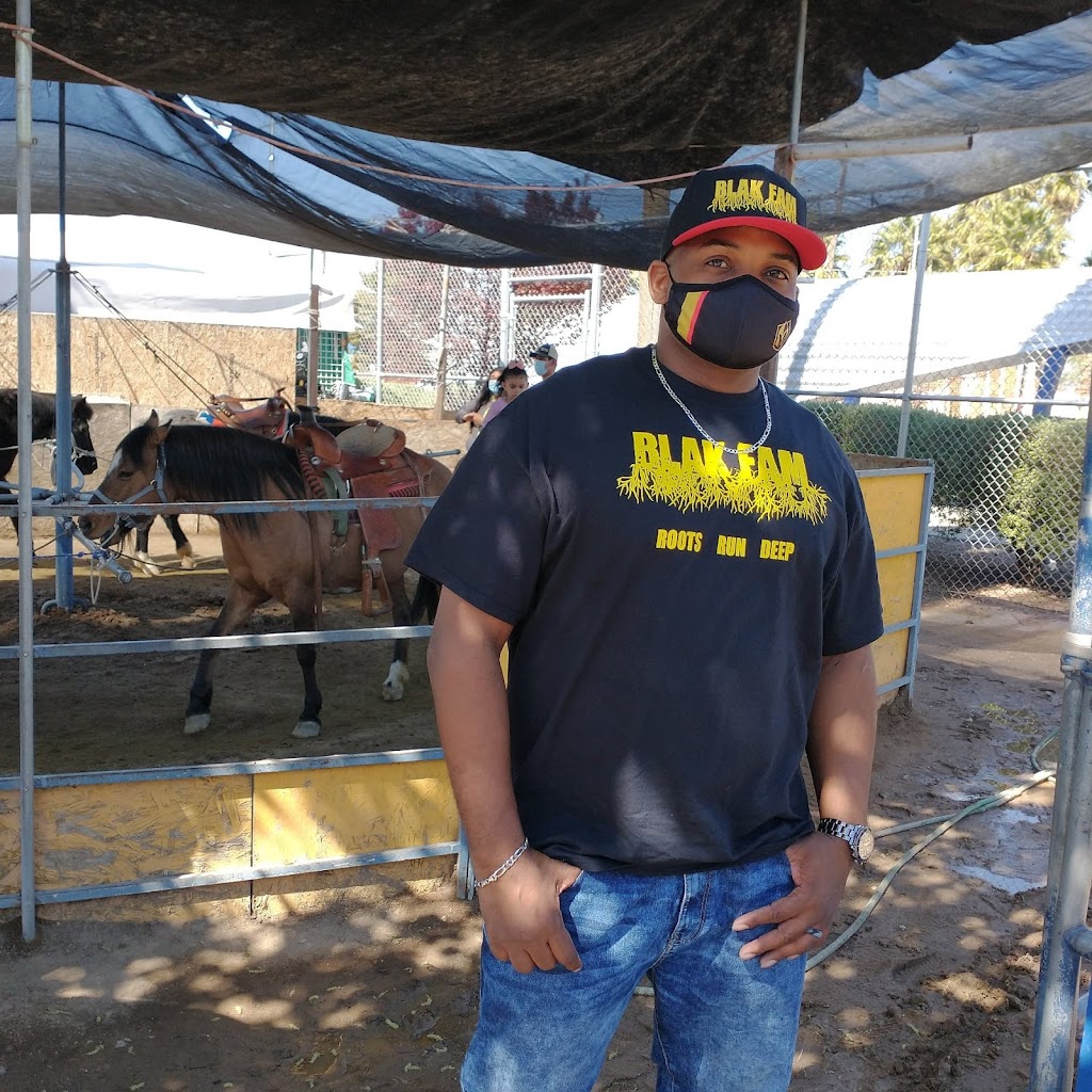 Barrys Boxing | 2664 S Highland Dr, Las Vegas, NV 89109, USA | Phone: (702) 368-2696