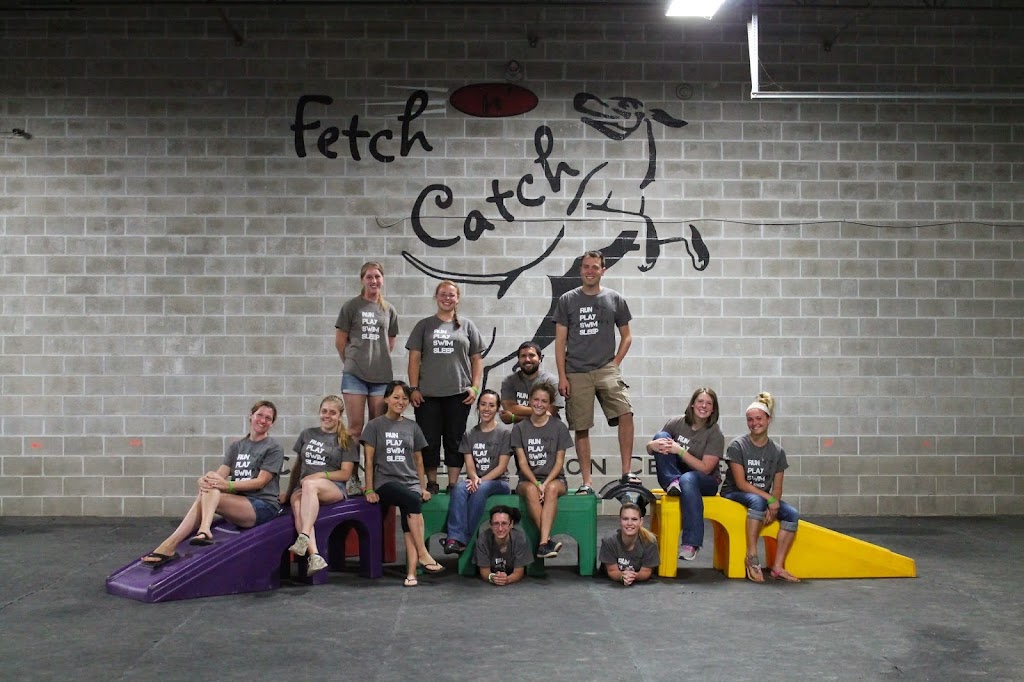 Fetch n Catch | 6517 Transit Rd #1, Bowmansville, NY 14026, USA | Phone: (716) 901-7618