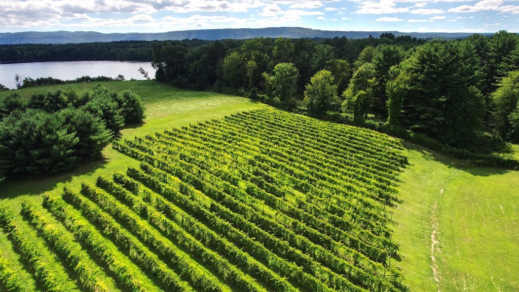 Clover Pond Vineyard | 100 Acre Wood Lane, Altamont, NY 12009, USA | Phone: (518) 356-9000