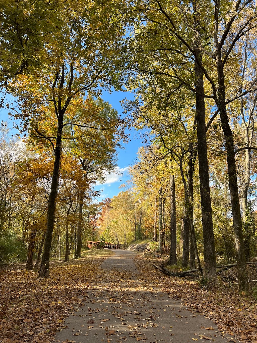 Wolf River Greenway - Shady Grove Trailhead | 6324 Humphreys Blvd, Memphis, TN 38120, USA | Phone: (901) 452-6500