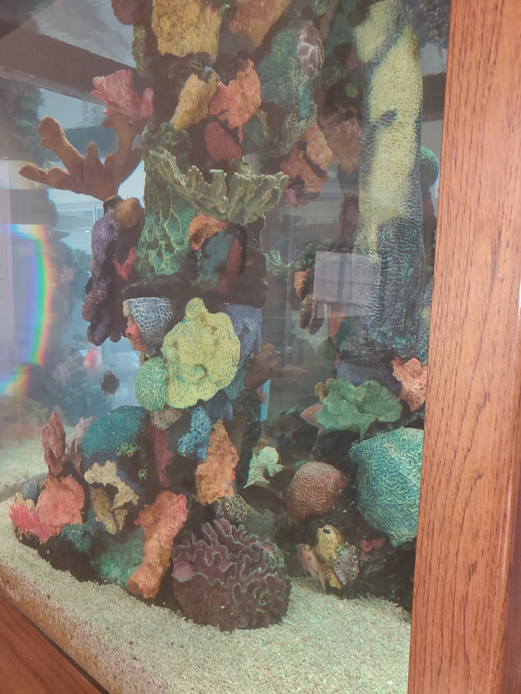 Reefs and Rainforests | 2538 Jmt Industrial Dr, Apopka, FL 32703, USA | Phone: (407) 375-8600
