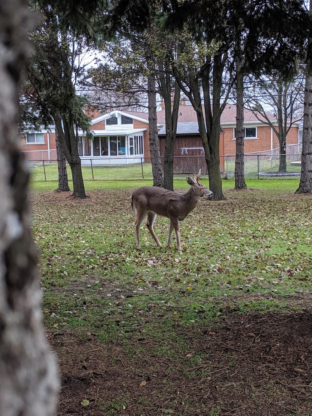 City of Warren Hartsig Park | 2701 Martin Rd, Warren, MI 48092, USA | Phone: (586) 619-0347