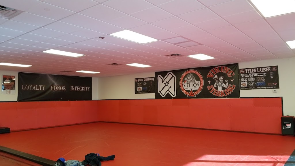 Ethos Martial Arts | 18540 E San Tan Blvd, Queen Creek, AZ 85142 | Phone: (480) 404-8832