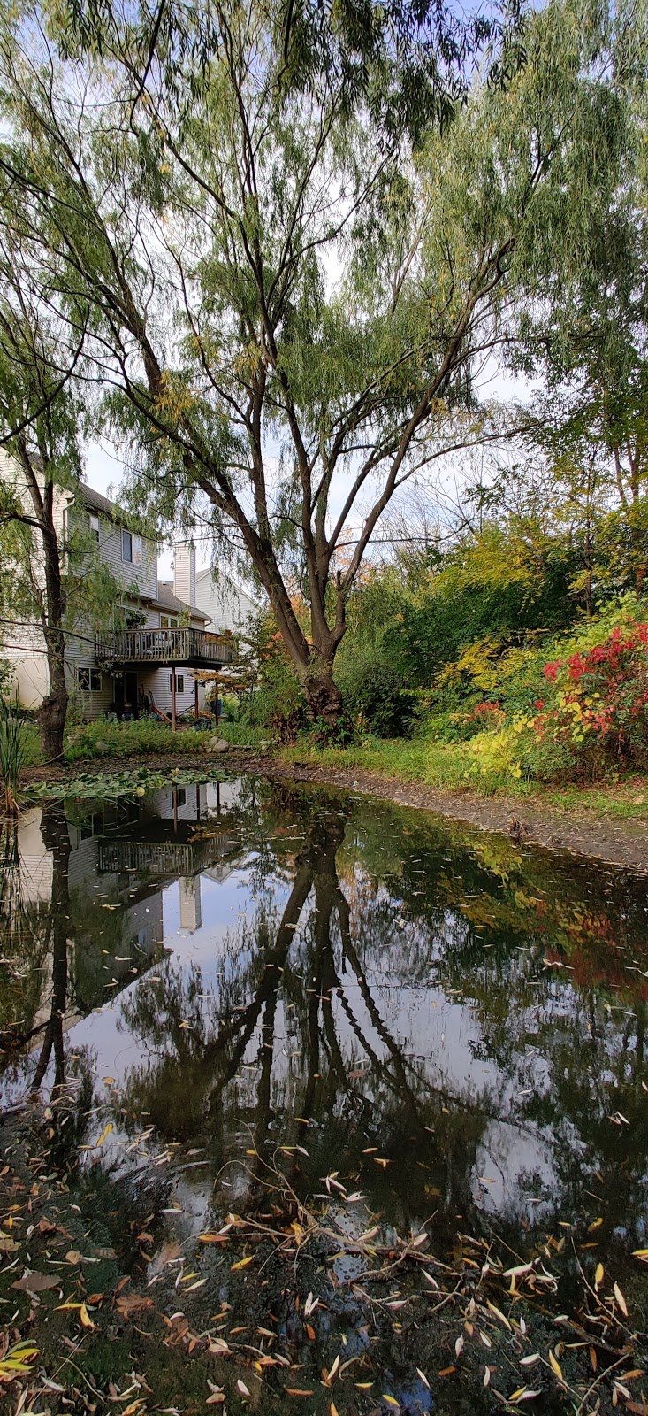Arbor Hills Nature Area | 3528 Burbank Dr, Ann Arbor, MI 48105, USA | Phone: (734) 794-6000