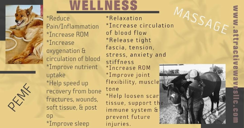 Infinite Healing LLC | 27602 N Denver Hill Dr, Wittmann, AZ 85361, USA | Phone: (405) 826-2793