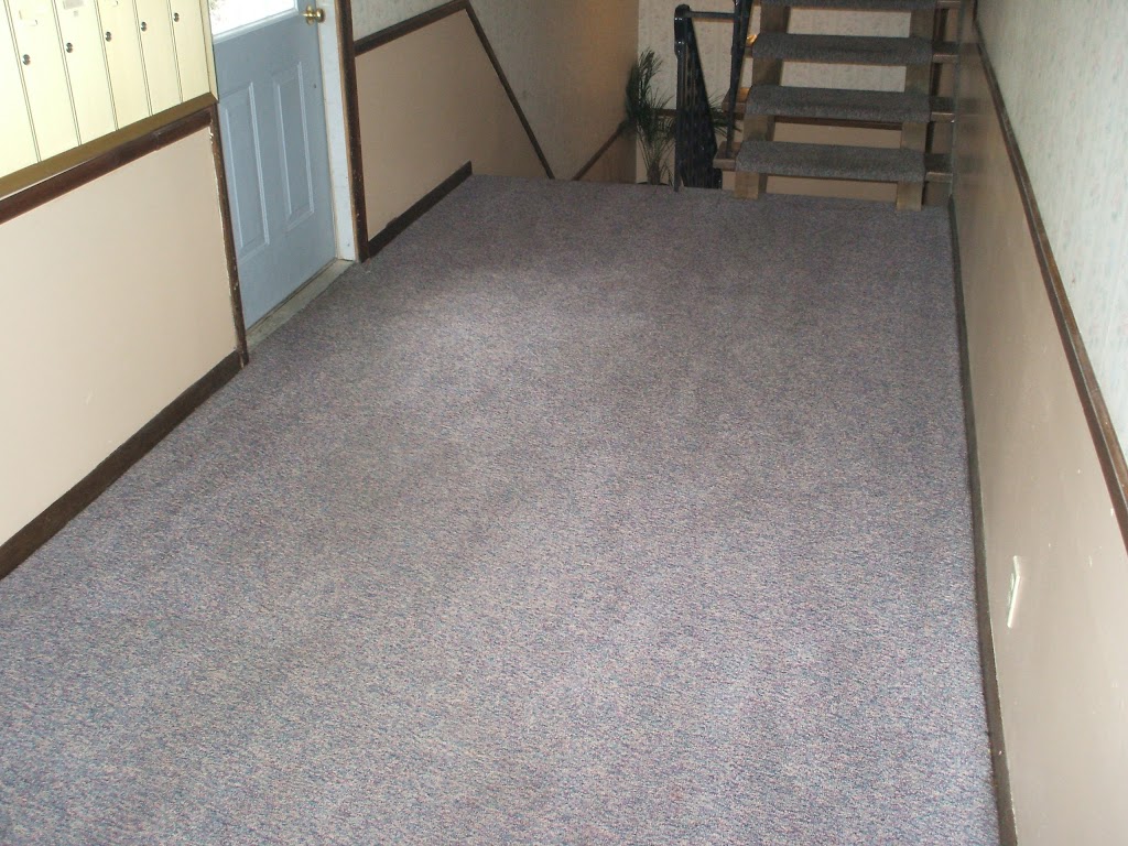 AAA Carpet Cleaning Omaha and Water Damage Restoration | 6120 N 68th St, Omaha, NE 68104, USA | Phone: (402) 510-8579