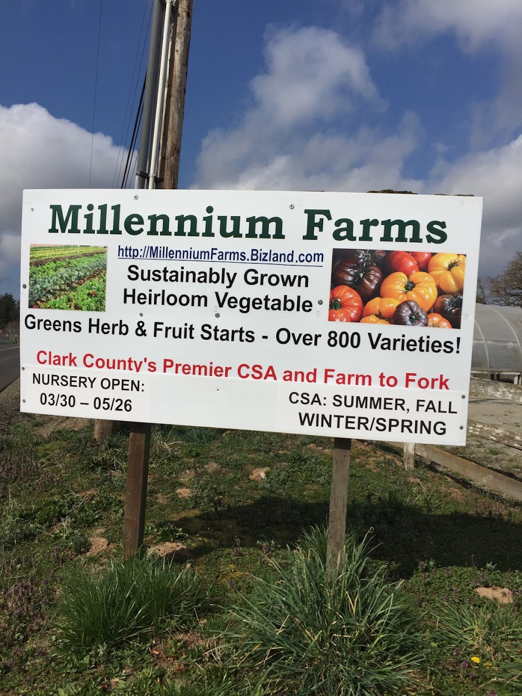 Millennium Farms | 1504 NW 299th St, Ridgefield, WA 98642, USA | Phone: (360) 887-4485