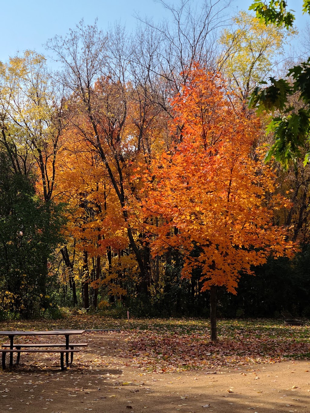 Baker Park Reserve | 2309 Baker Park Rd, Maple Plain, MN 55359, USA | Phone: (763) 694-7860