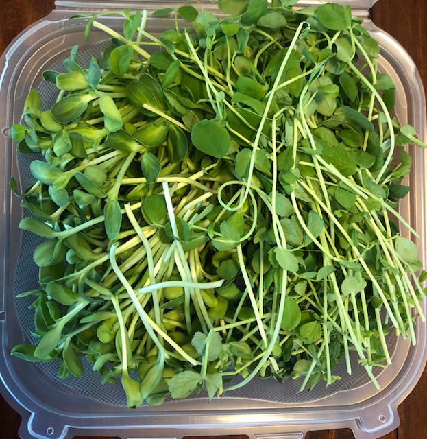 Microgreens R Us San Diego | 4871 Conrad Ave, San Diego, CA 92117, USA | Phone: (858) 230-8169