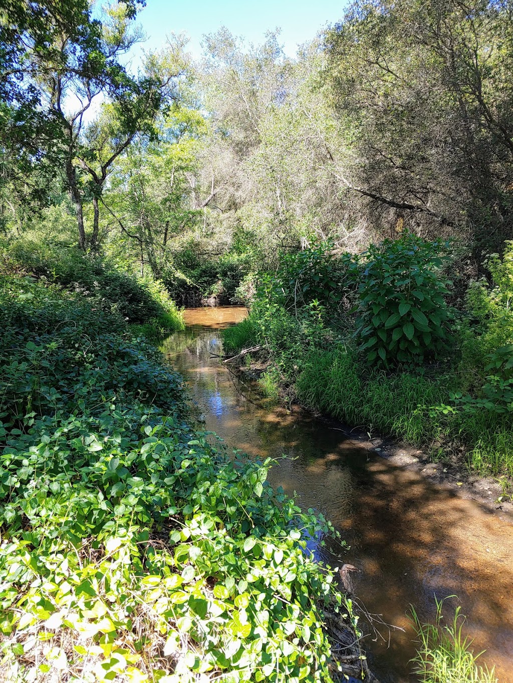 Loomis Basin Community Park (South) | 3550 Ong Pl, Loomis, CA 95650, USA | Phone: (530) 886-4901