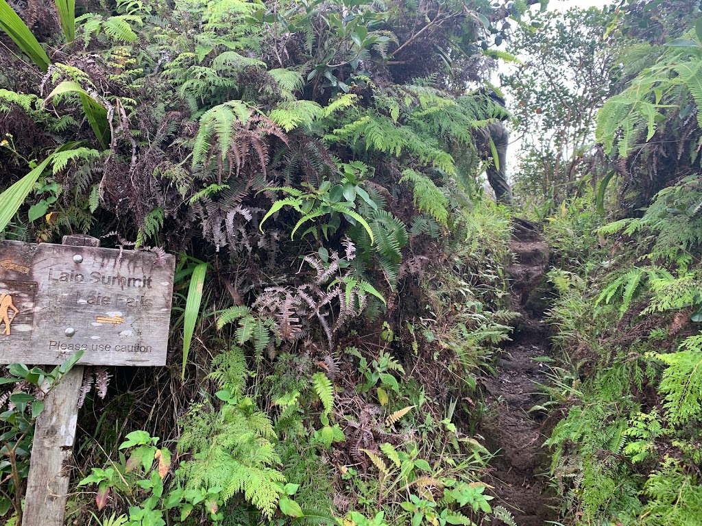 Lāʻie Falls Trail | 55-261 Poohaili St, Laie, HI 96762, USA | Phone: (808) 293-9201