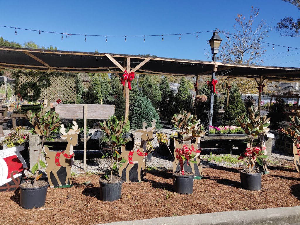 Ds Garden Center | 10320 Pecue Ln, Baton Rouge, LA 70810, USA | Phone: (225) 304-5417