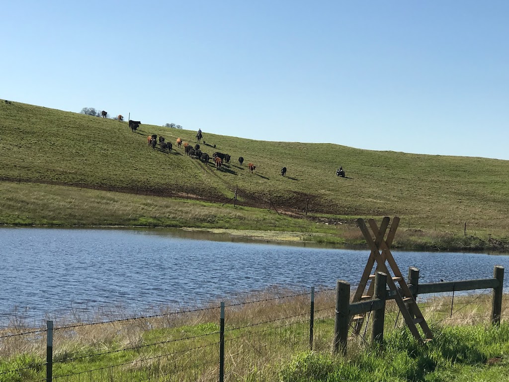Mariposa Ranch - Grass Fed Beef | 3132 Spengler Way, Turlock, CA 95380, USA | Phone: (209) 262-8780
