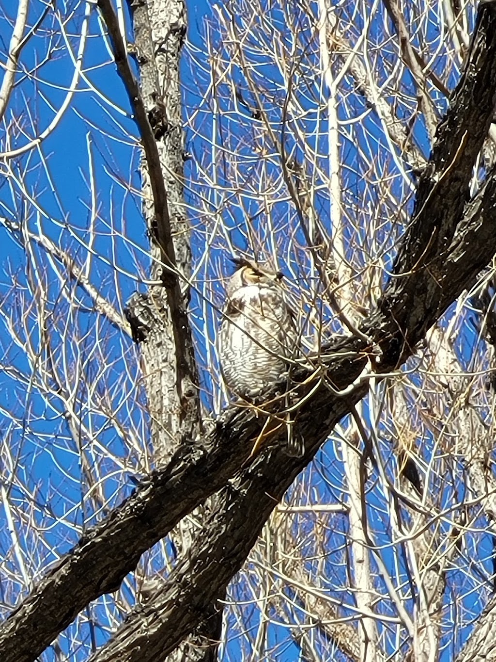 Willow Farm Park, South Fordham Street, Longmont, CO | 901 S Fordham St, Longmont, CO 80503, USA | Phone: (303) 774-4824