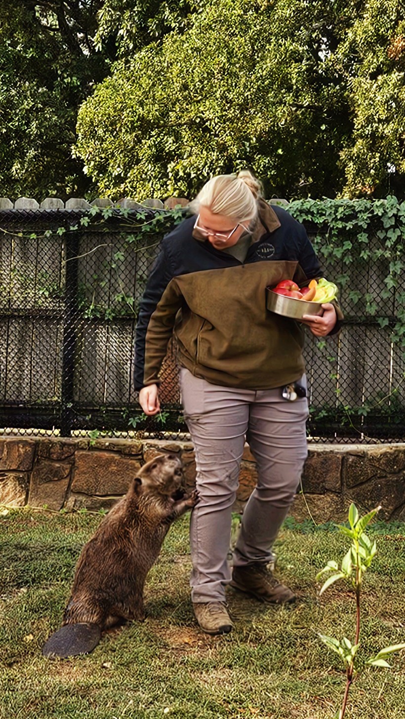 Three Forks Nature Center | 19460 Park 80, Hulbert, OK 74441, USA | Phone: (918) 772-2545