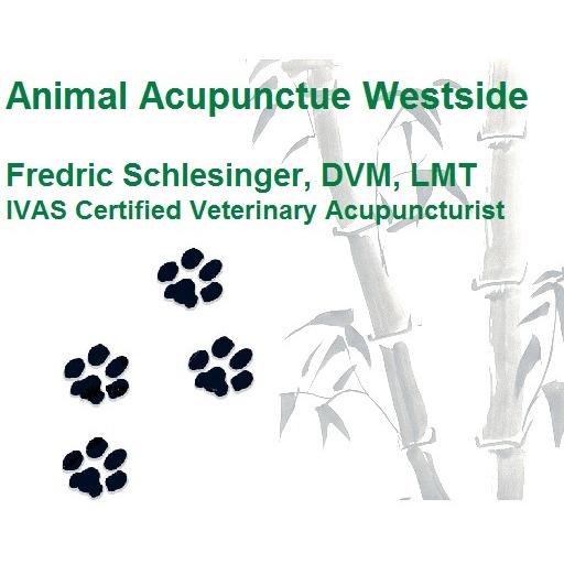 Animal Acupuncture Westside | 1111 Alameda Blvd NW Ste E, Albuquerque, NM 87114, USA | Phone: (505) 312-7454