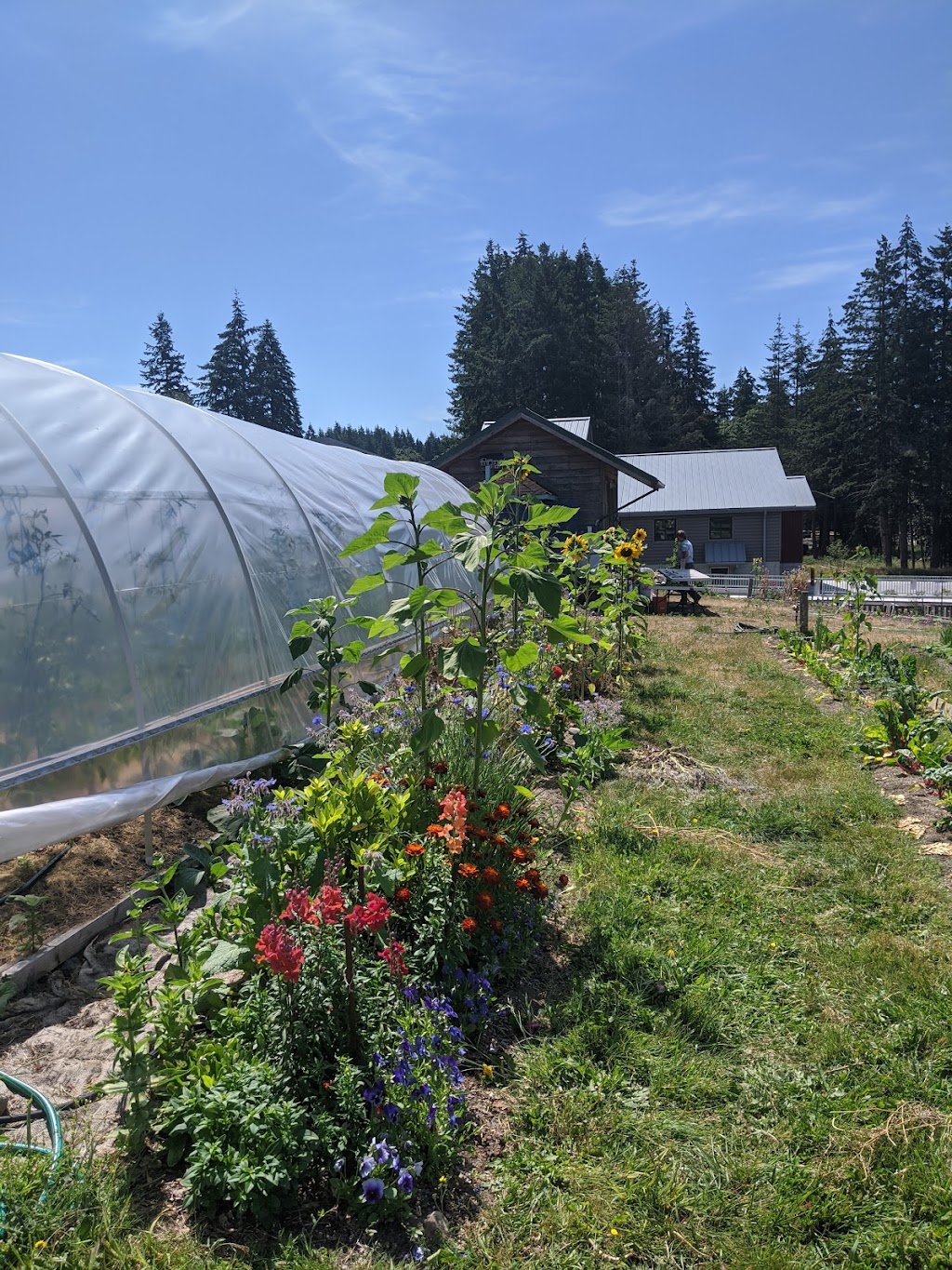 Good Cheer Food Bank | 2812 Grimm Rd, Langley, WA 98260, USA | Phone: (360) 221-6454