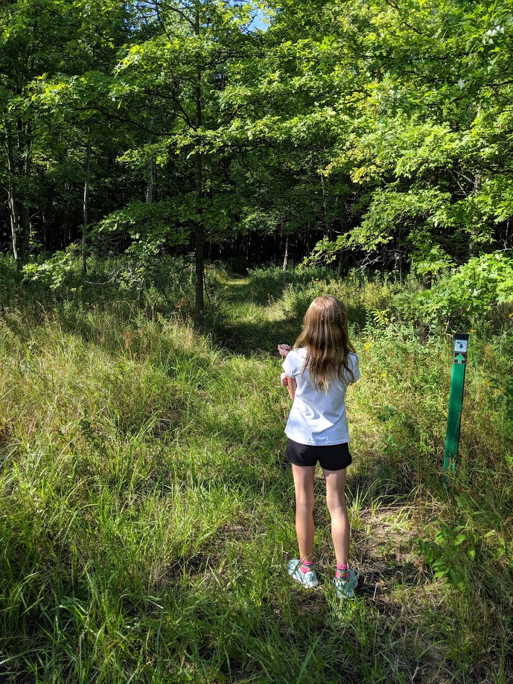 Sibley Prairie Nature Preserve - West Prairie | 26360 West Rd, Brownstown Charter Twp, MI 48134, USA | Phone: (734) 484-6565