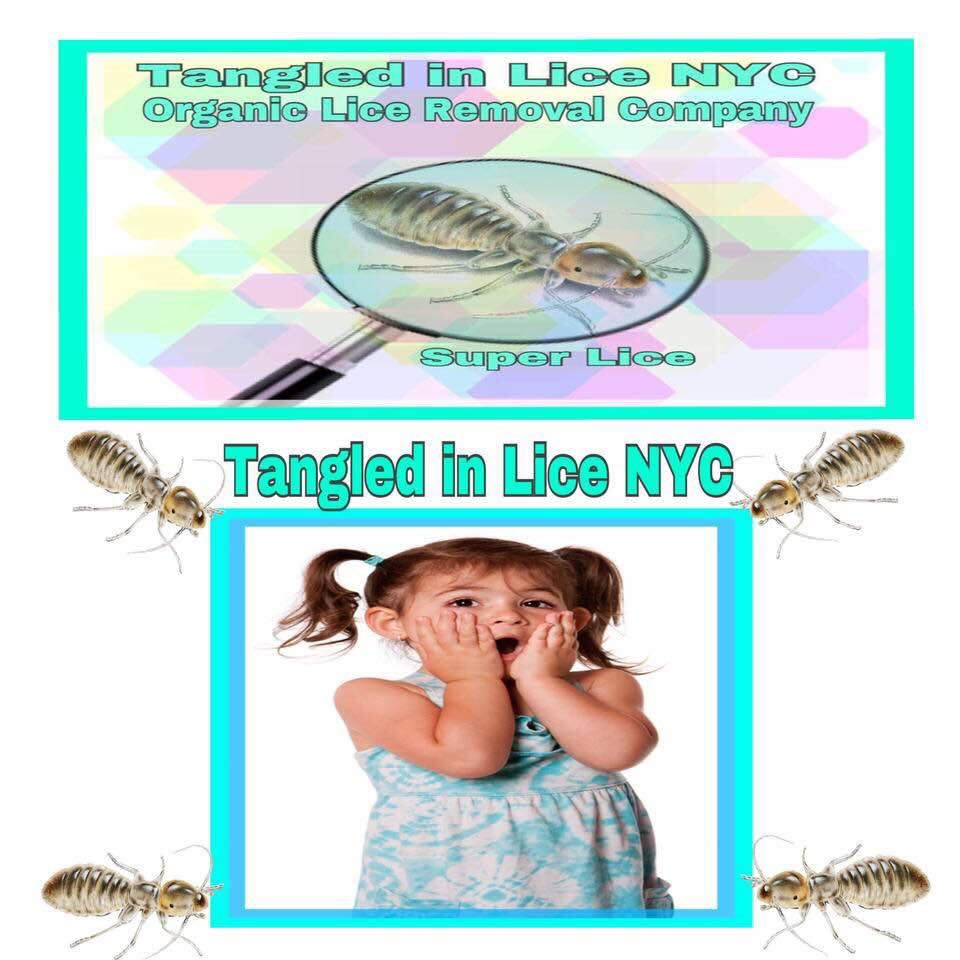 Tangled in Lice NYC | 1902 8th Ave, Brooklyn, NY 11215, USA | Phone: (646) 457-2339