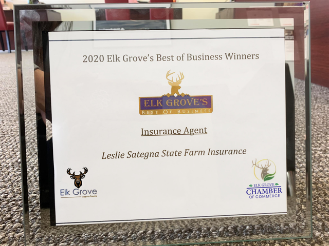 Leslie Sategna - State Farm Insurance Agency - Elk Grove | 9028 Franklin Blvd UNIT 150, Elk Grove, CA 95758, USA | Phone: (916) 421-1998