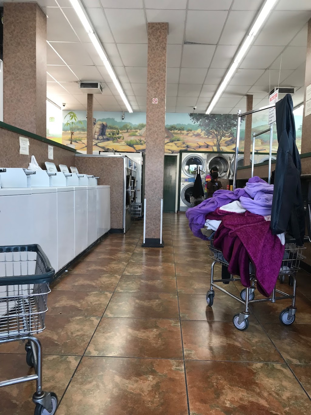 SoCal Wash and Fold - Adams & Maple | 401 E Adams Blvd, Los Angeles, CA 90011, USA | Phone: (818) 429-3407