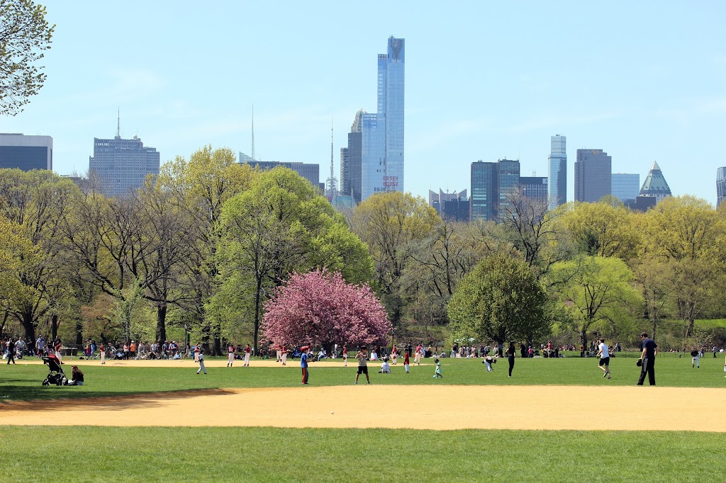 The Great Lawn | 79th Street & 85th Street, New York, NY 10024, USA | Phone: (212) 310-6600