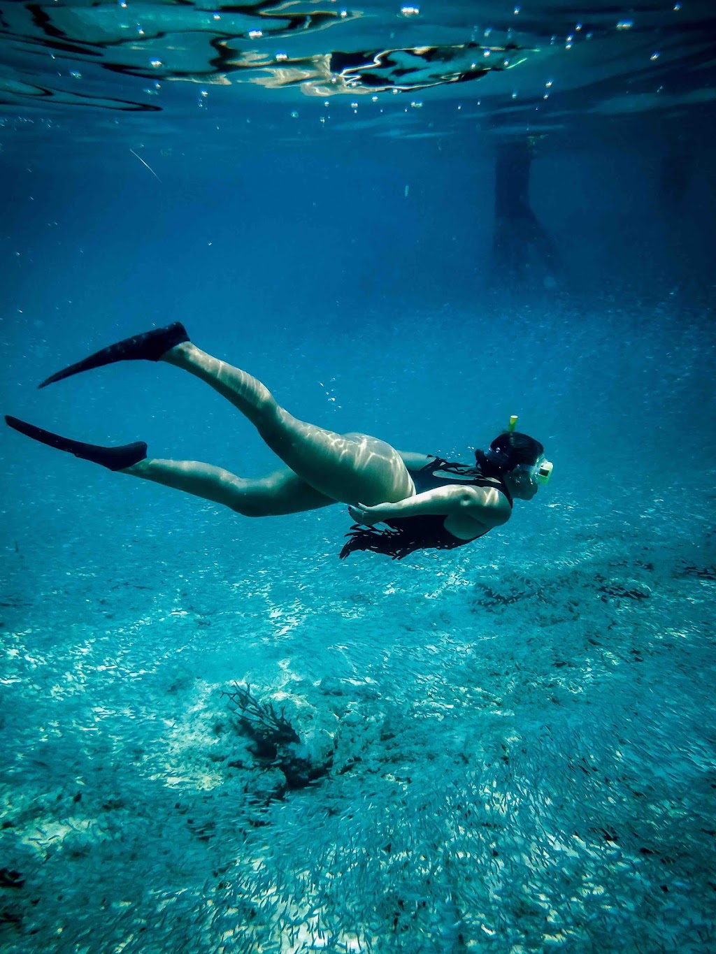 Family Fun Snorkeling, Sandbar, Ecotours, Sunset Cruise, Boat Tours | 85920 Overseas Hwy, Islamorada, FL 33036, USA | Phone: (305) 896-2915