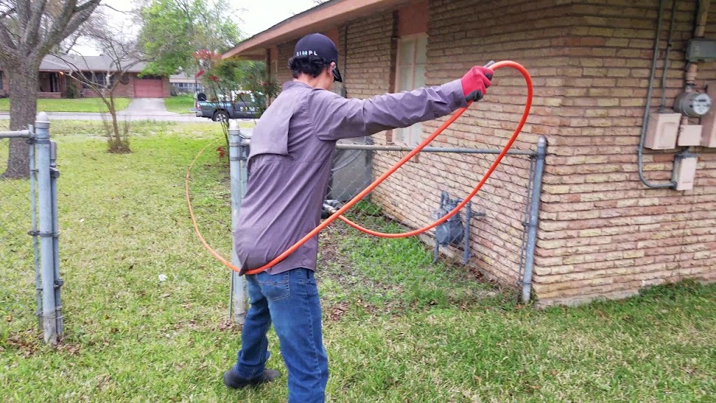 Advance Pest Control Services | 143-15 115th Ave, Queens, NY 11436, USA | Phone: (646) 251-6973