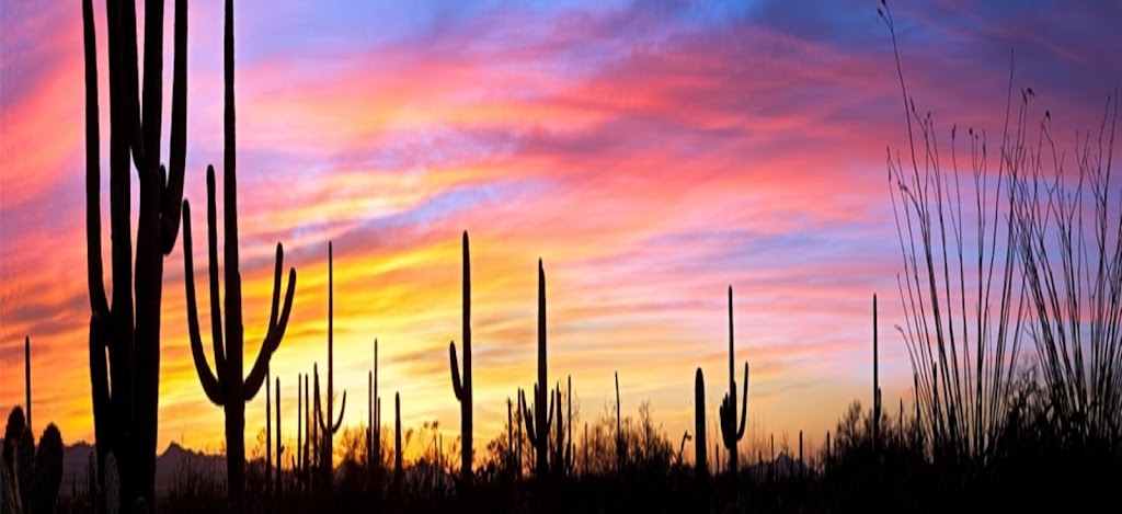 Long Realty / Tanque Verde Trio | 9155 E Tanque Verde Rd Suite 107, Tucson, AZ 85749, USA | Phone: (520) 918-8888 Long Realty / Tanque Verde Trio | 9155 E Tanque Verde Rd Suite 107, Tucson, AZ 85749, USA | Phone: (520) 918-8888