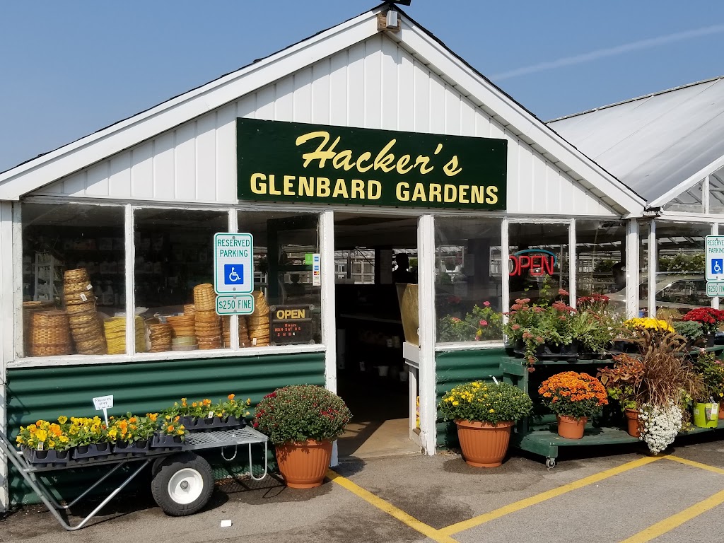 Hackers Glenbard Gardens | 640 IL-53, Lombard, IL 60148, USA | Phone: (630) 495-4220